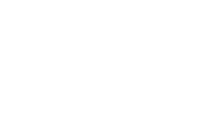 hyzer flip logo